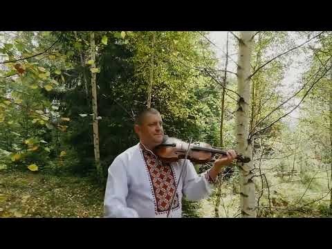 Видео: Файні гуцульські музики