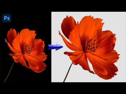 Видео: Точное выделение в Фотошопе