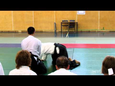 Видео: Семинар Наоми Номура 6 дан Айкидо Айкикай