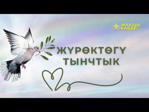 Видео: Жүрөктөгү тынчтык