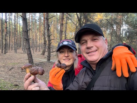 Видео: 🏠ПОЧЕМУ Я ПОКАЗЫВАЮ ДОМА⁉️ЕДЕМ В ЛЕС🌲ЧТО НАШЛИ👍