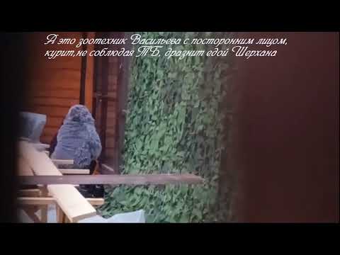 Видео: Почему мы должны молчать