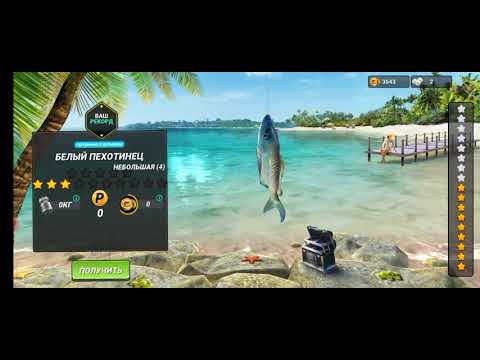 Видео: fishing clash играю в симулятор рыбалки видео ютуб