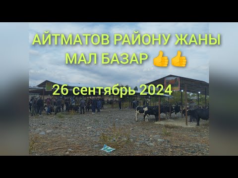 Видео: Кировка жаңы мал базар 👍👍👍