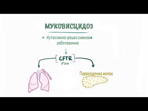 Видео: Муковисцидоз - причины, симптомы, диагностика, лечение и патология.
