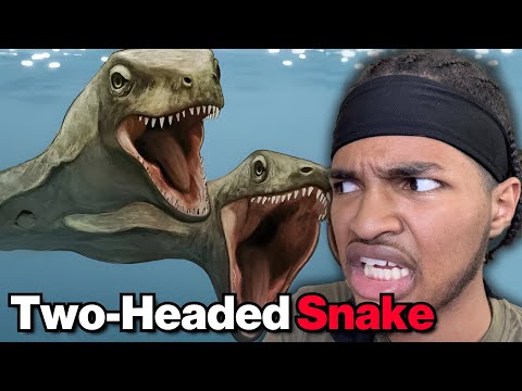 Видео: Самые безумные вымершие существа