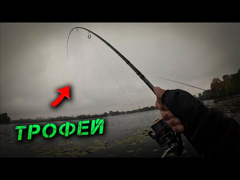 Видео: ✅ Жор ТРОФЕЙНИХ Риб! День ПАРОВОЗІВ! ✅