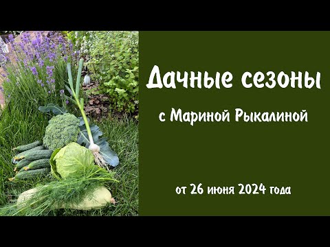 Видео: Дачные сезоны с Мариной Рыкалиной от 26 июня 2024 года