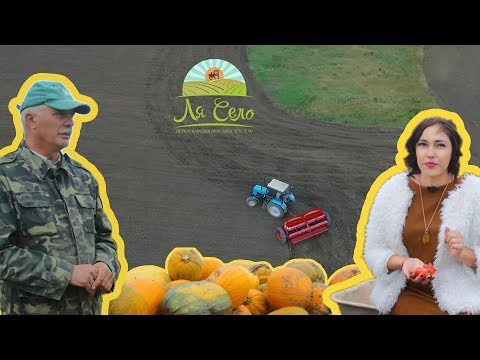 Видео: Натуральна "віагра", поля гарбузів та тисячі саджанців - "Ля Село" на Хмельниччині