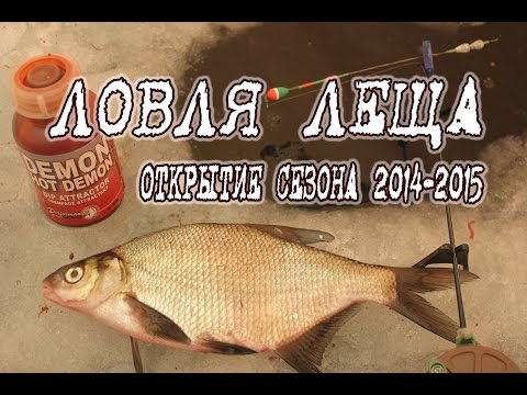 Видео: Ловля леща зимой, подводные съемки