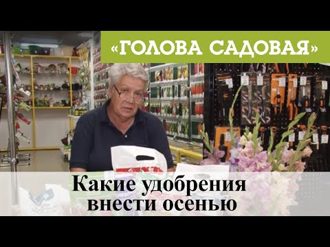 Видео: Голова садовая - Какие удобрения внести осенью