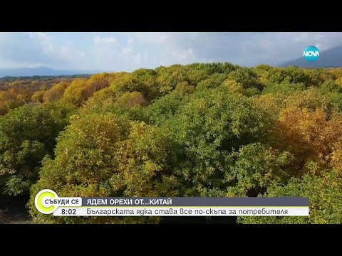 Видео: Ядем орехи от Китай, българските – все по-скъпи