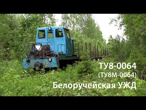 Видео: УЖД. ТУ8М-0064 (Белый Ручей)