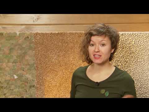 Видео: Сделаем композицию из горшечных растений для подоконника.