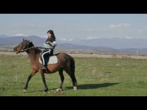 Видео: ПАНИЧЕРИ - ТОДОРОВДЕН