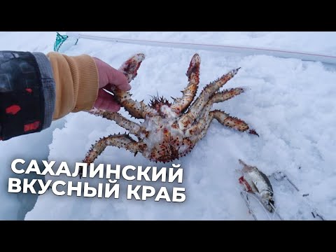 Видео: Сахалинский колючий краб! Крабалка и готовка 🦀