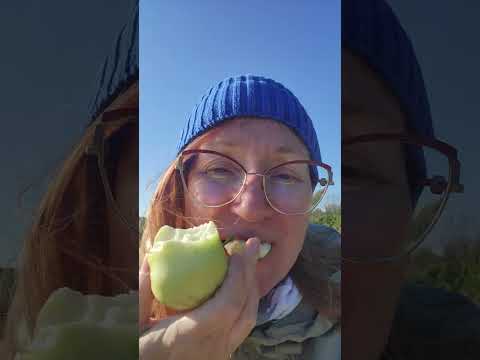 Видео: Lena и корги