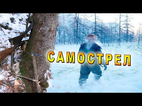 Видео: /Однажды в Тайге/История Выживания/