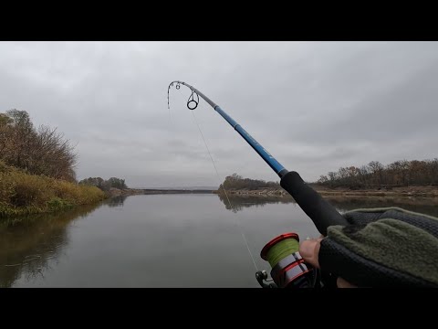 Видео: Рыбалка на реке Дон в минус! Фидер, донки, спиннинг.