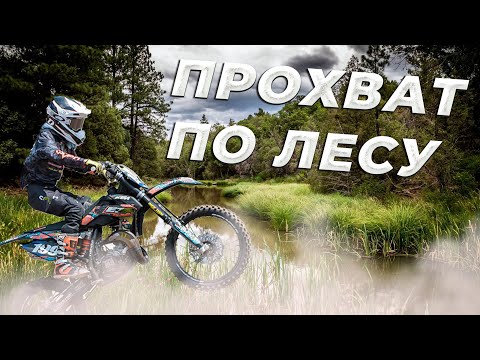 Видео: Прохват по лесу