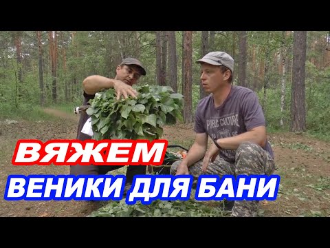 Видео: Время заготовки БАННЫХ ВЕНИКОВ. Как правильно ВЯЗАТЬ И СУШИТЬ ВЕНИКИ ДЛЯ БАНИ.