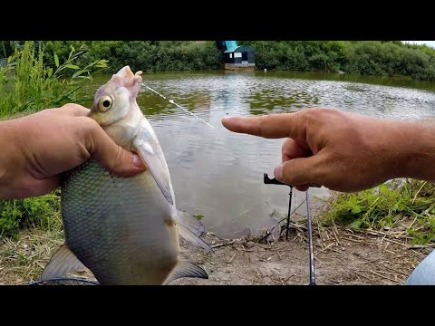 Видео: Разобрался с капризной рыбой! Фидерный монтаж Running. Рыбалка на фидер