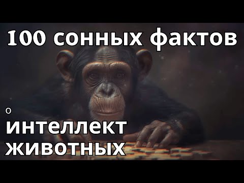 Видео: 100 невероятных фактов о об интеллекте животных — засыпайте с наукой