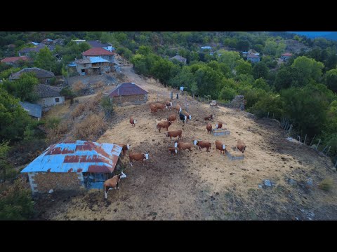 Видео: Над махала Щърбина