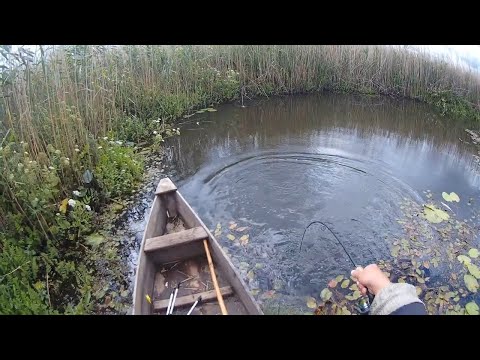 Видео: Риболовля на Стоході, рибалка на Волині на щуку