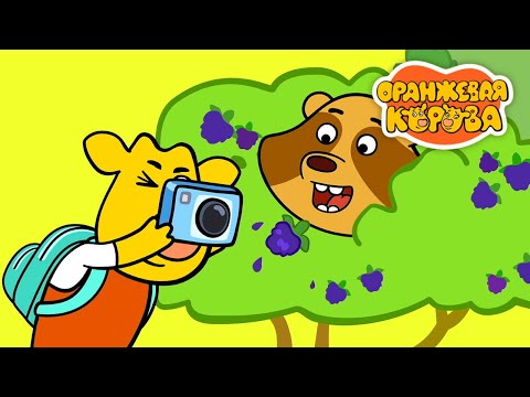 Видео: Оранжевая Корова 🐮 Юные натуралисты 🐮 Новая серия ⭐ Сборник мультфильмов 💚 Мультики