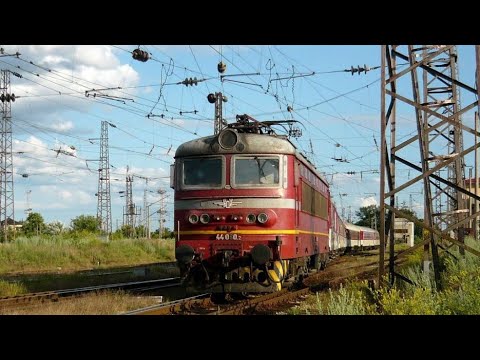 Видео: ВЛАКОВЕТЕ