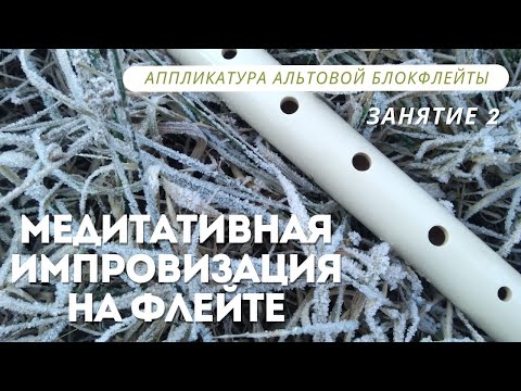 Видео: Занятие 2.  Аппликатура альтовой блокфлейты.