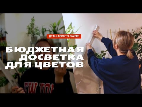 Видео: Установка досветки для растений | Досветка для растений из Fix Price