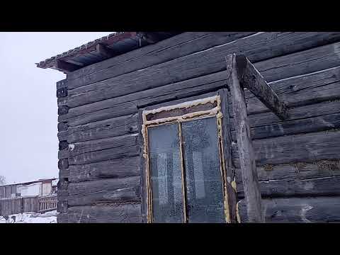 Видео: Засыпать опилки и зашить досками..зима.
