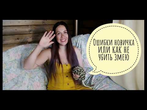 Видео: Ошибки в содержании змей у новичков