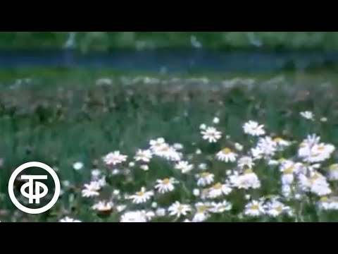 Видео: На родине Бунина (1986)