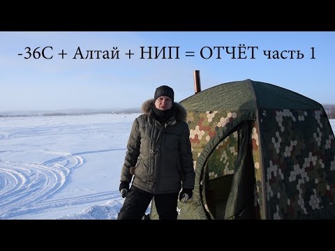 Видео: -36С Алтай НИП Отчёт (Часть1)