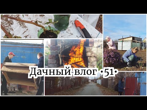 Видео: ОБРЕЗАЛА РОЗЫ 🌹 ПОСАДИЛА ЕЖЕВИКУ // УБИРАЕМ МЕБЕЛЬ В ЗИМУ // ЖАРИМ ШАШЛЫК 