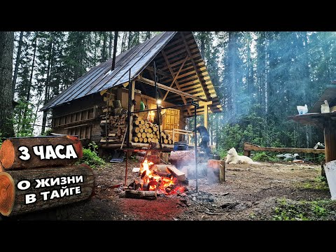 Видео: В лесной избушке 5 дней. Большой фильм о мужской дружбе и таёжных буднях.