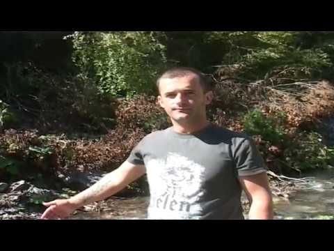 Видео: село Плаќе