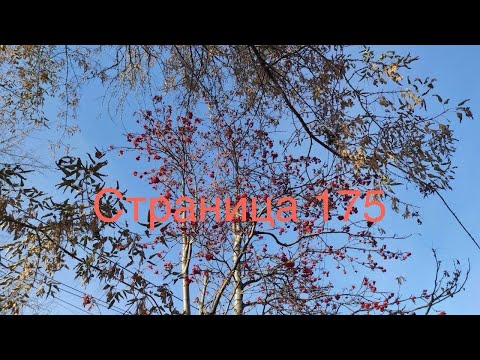 Видео: Вязальный дневничок. Страница 175.