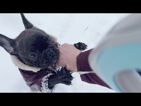 Видео: Часть 2. Отправились с Егором в заснеженный лес