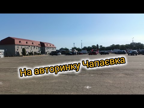 Видео: На автобазарі в Києві 14/09/2025