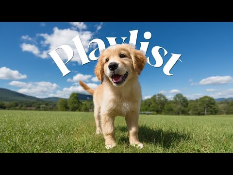 Видео: [Плейлист] Осенний плейлист для инста-вайба 🍁 Поп·R&B·Lo-fi 🎧 Пятничный чилл✨