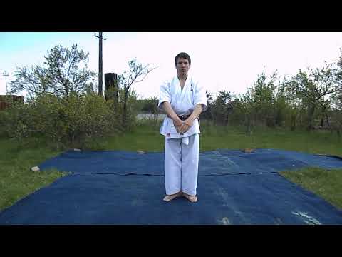 Видео: Изучаем ката, ч  11, Ката Янцу