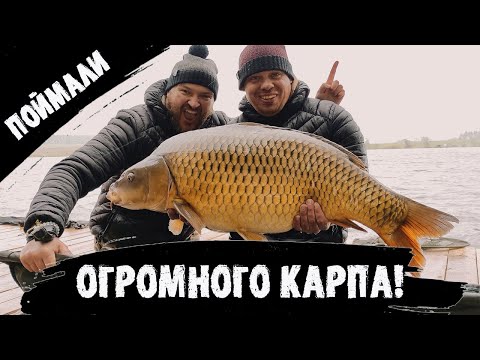 Видео: Поймали ОГРОМНОГО карпа! Соревнования на РСК Павловский