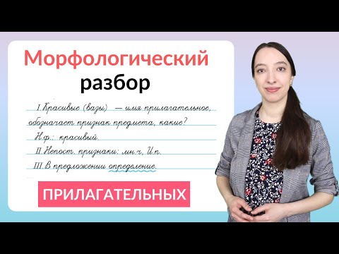 Видео: Морфологический разбор прилагательного. Как выполнить морфологический разбор ?