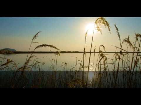 Видео: Виктор Королев и Ирина Круг - Букет Из Белых Роз (караоке)