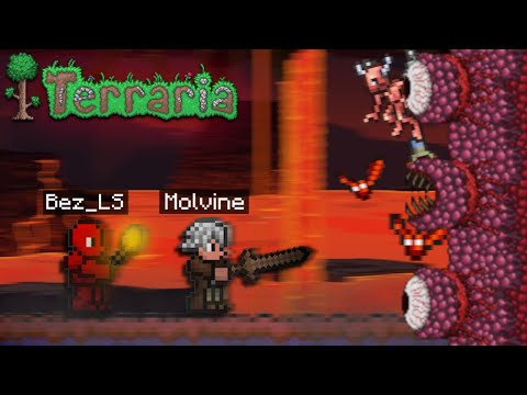 Видео: 🤔Скоро Конец?!😳Молвин и БЛС Убили СТЕНУ ПЛОТИ! | #7 | #terraria #майншилд  @MOLVINE @Bez_LS