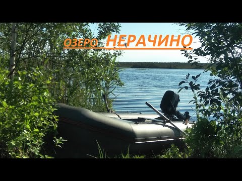 Видео: оз  НЕРАЧИНО